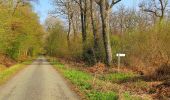 Tour Wandern Rethondes - en forêt de Laigue_1_le Grand Octogone - Photo 14