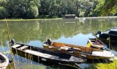 Trail Walking Saumur - MAINE ET LOIRE / SAUMUR: DECRASSAGE - Photo 2