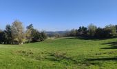 Tour Wandern Périgneux - La Gare - Fétilleux - Photo 13