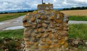 Tour Wandern Vals - 20240621 - Photo 2