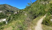 Tour Wandern Gorges du Tarn Causses - Saint Chely 17 km - Photo 13