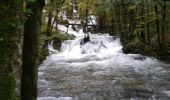 Tour Wandern Arbois - Arbois 22 oct 2019 CAF - Photo 4