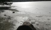 Trail Walking La Bresse - 24022021 La Bresse Lac des corbeaux - Photo 1