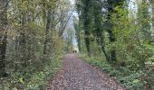 Tocht Stappen Beauraing - Pondrôme 23 km - Photo 2