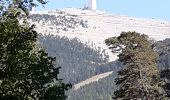 Excursión Senderismo Beaumont-du-Ventoux - Mont Serein Col du Comte - Photo 1