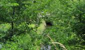 Percorso A piedi Compiègne - en forêt de Compiègne_34_autour du Buissonnet et du Berne - Photo 1