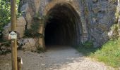 Tour Wandern Foncine-le-Bas - Foncines-le-Bas, du viaduc des Douanets à  la cascade du Bief de la Ruine. - Photo 1