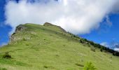 Trail Walking Gap - Le Cuchon et Pic de Charance Via Coréo - Photo 6