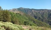 Tour Wandern Val-d'Aigoual - 4000 marches-14-06-22 - Photo 3