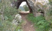 Trail Walking Cabrières - 30 gardon bois des coufines - Photo 3