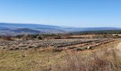 Trail Walking Villars - Les Aiguiers du Villars par Cabrone - Photo 11