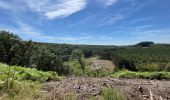 Trail Walking Chiny - Chiny version courte - Photo 2