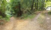 Trail Electric bike Ronse - Renaix- La Houppe par Ellezelles - Photo 11