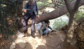 Tour Wandern Hyères - La presqu'ile de Giens,côté Est - Photo 6