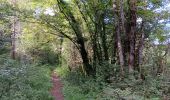 Tour Wandern Matafelon-Granges - les 2 vallées sous la mousse ... - Photo 10