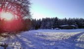 Percorso A piedi Gomadingen - Innerer Zugangsweg Schwäbischen Albvereins (gelbes Dreieck) - Photo 2