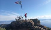 Trail Walking Rayol-Canadel-sur-Mer - Rayol 21.1.23 - Photo 3