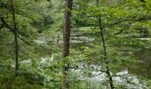 Tocht Stappen Ternuay-Melay-et-Saint-Hilaire - melay  - Photo 1