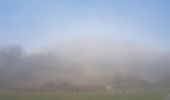 Trail Walking Le Mesnil-Esnard - 20181211 rando Odile  - Photo 2