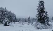 Tour Wandern Jalhay - Solwaster-Statte-Hoegne - Photo 4