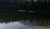 Trail Walking Morzine - boucle lac des mines d'or, chardonnerai, freterol - Photo 9