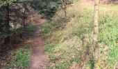 Tocht Stappen Lutzelbourg - Sentier des Roches et vallée des éclusiers - Photo 15