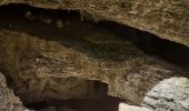 Tour Wandern Saint-Martin-en-Vercors - grotte de la cheminée  - Photo 13