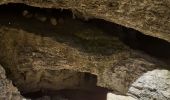 Percorso Marcia Saint-Martin-en-Vercors - grotte de la cheminée  - Photo 13