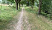 Trail Walking Val-du-Layon - Val-du-Layon  - Photo 5
