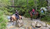 Trail Horseback riding Roissard - 2025-06-04 Rando CVA Maissenas vers Chichilianne - Photo 3