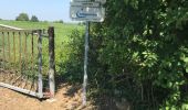 Tour Wandern Olne - Eglise st Adèle on - Photo 1