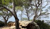 Tour Wandern Hyères - Porquerolles - Photo 12