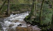 Trail On foot Unknown - Kreuzfelsen-Rundweg - Photo 8