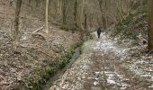 Tocht Stappen Trooz - Forêt navette - Photo 1