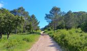 Trail Walking Aramon - aramon - les castillonnes  - Photo 16
