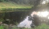 Trail Running Sainte-Anne - Liard saint Robert - Photo 11