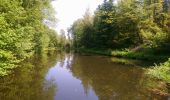 Tocht Stappen Ramonchamp - Ferdrupt / Les etangs noirs / Chalet Grammont / Chalet de l'alouette  - Photo 5