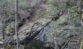 Tour Wandern Collobrières - La Verne - Cèdres de Ragusse by DAL - Photo 2