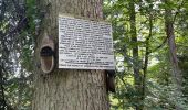 Trail Walking Thiéfosse - Gorges de crosery  - Photo 1