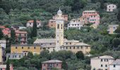 Tour Zu Fuß Genua - Nervi - Monte Fasce - Premanico - Borgoratti - Photo 3