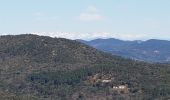 Tour Wandern La Garde-Freinet - LA GARDE FREINET - PATRIMOINE DES MOULINS ET CHAPELLES - Photo 8