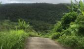 Excursión Ruta Trois-Rivières - Palmiste trace du radar - Photo 3