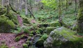 Trail Walking Xonrupt-Longemer - 2024-06-09 le Hohneck et le petit Hohneck  - Photo 1