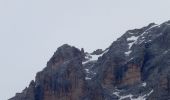 Randonnée A pied Cortina d'Ampezzo - IT-208 - Photo 2