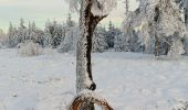 Randonnée Marche Spa - tour de la fagne de Malchamps dans la neige  - Photo 8