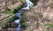 Trail Walking Oberhaslach - Oberhaslach - Porte de Pierre - Rocher de Mutzig - Cascade de Soultzbach - Photo 10