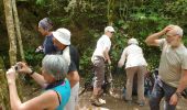 Tour Wandern La Couvertoirade - Larzac 2 - Photo 11