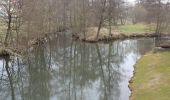 Tocht Te voet Steinau an der Straße - Steinau a. d. Straße, Wanderweg 4a - Photo 1