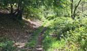 Trail Walking Stoumont - Marche ADEPS Stoumont 15 km - Photo 9