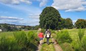 Tocht Stappen Bastenaken - Bastogne - Photo 9